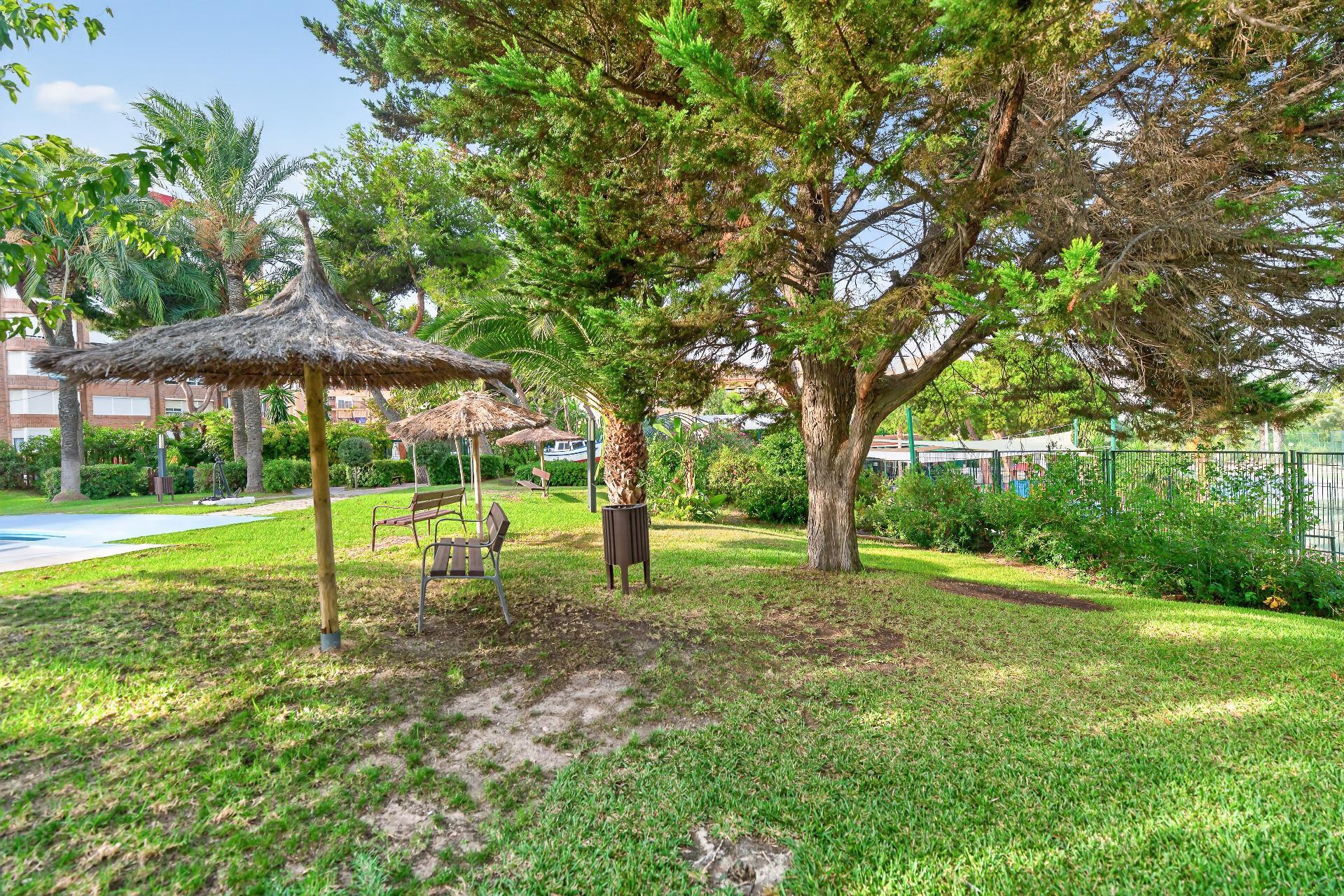 Pisos-Venta-Alicante-2426223-Foto-39