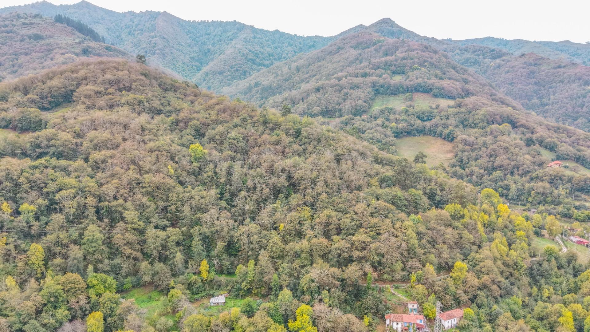 Casas o chalets-Venta-Mieres-2426575-Foto-30