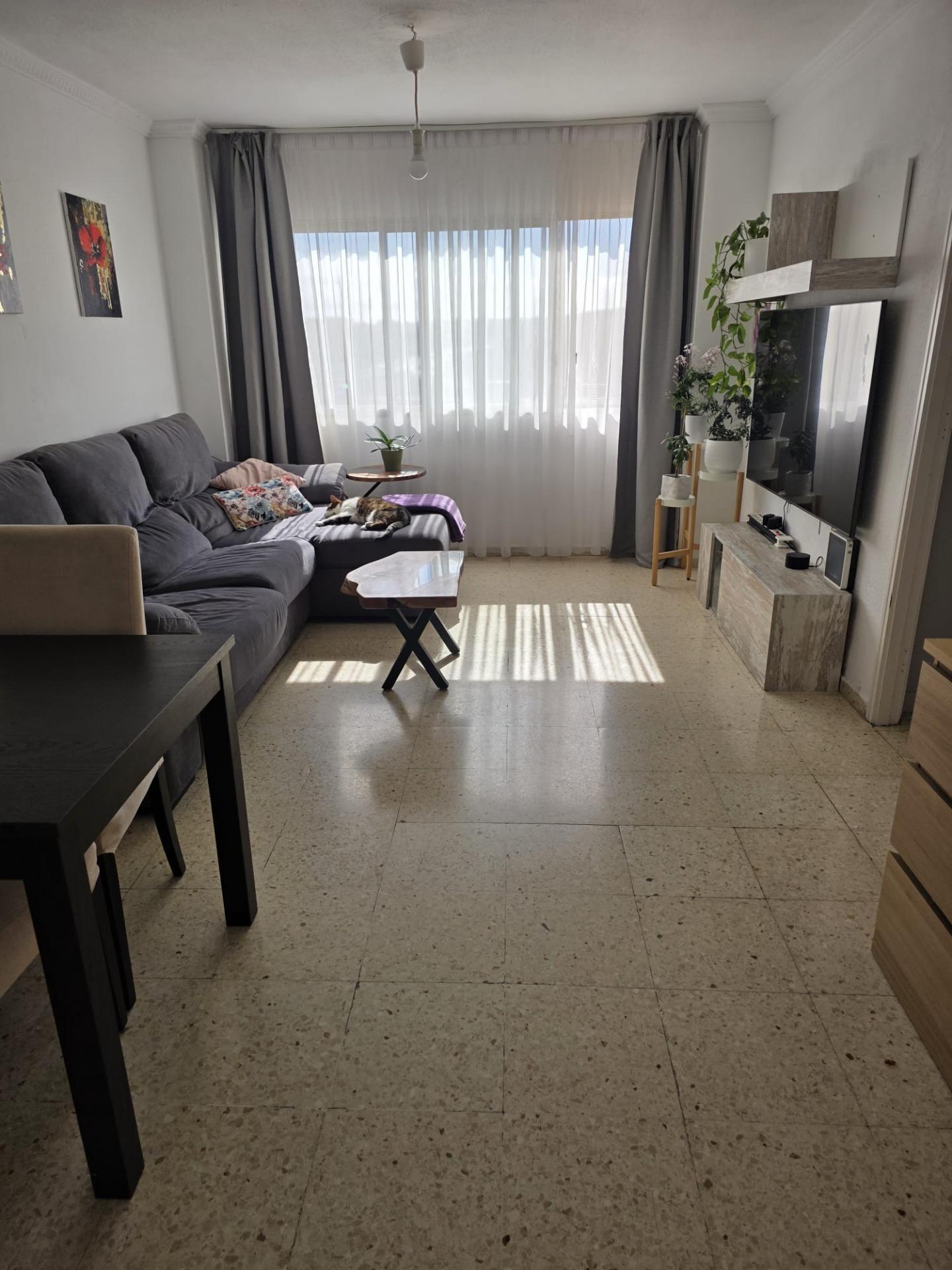 Pisos-Venta-Las Palmas de Gran Canaria-2427246-Foto-2