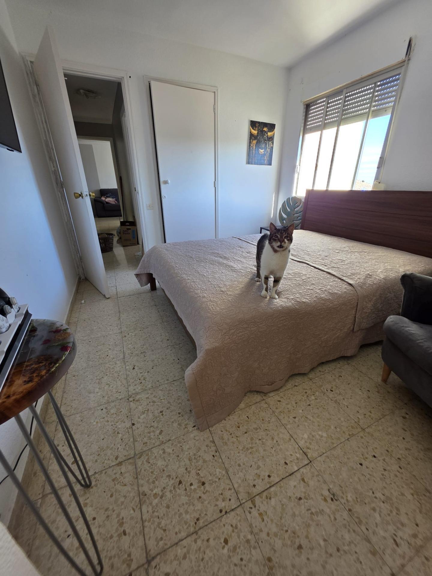 Pisos-Venta-Las Palmas de Gran Canaria-2427246-Foto-35