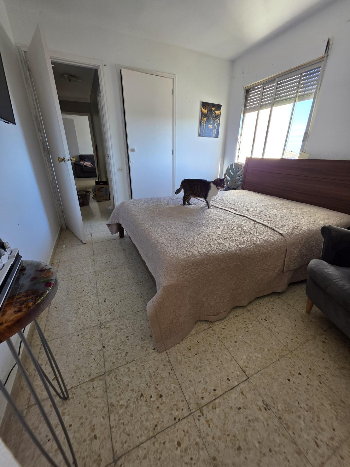 Pisos-Venta-Las Palmas de Gran Canaria-2427246-Foto-41