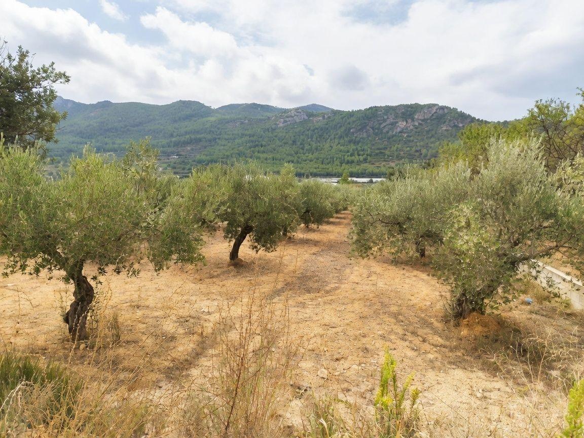 Casas o chalets-Venta-Mogente-2427234-Foto-22