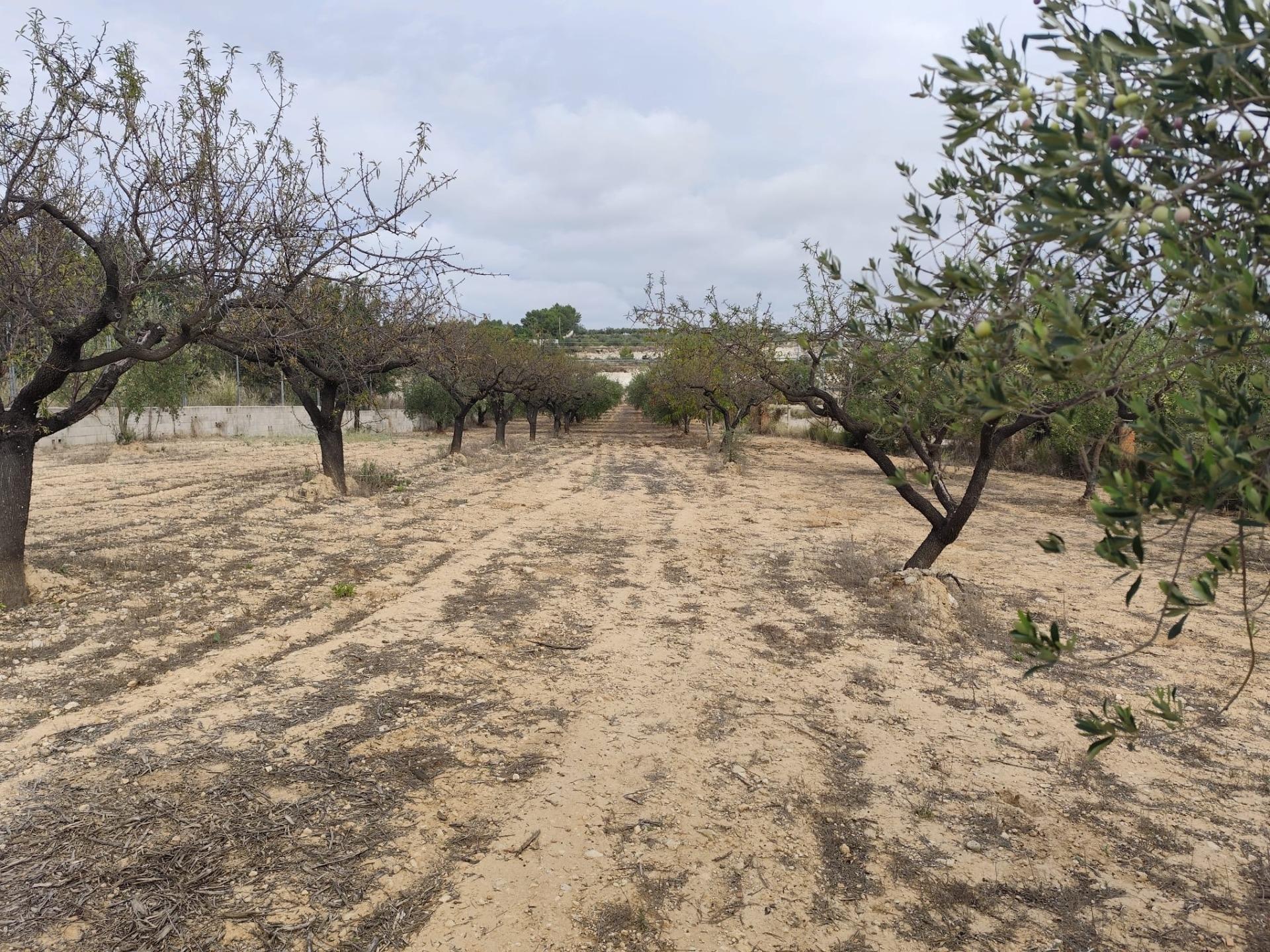 Casas o chalets-Venta-Mogente-2427234-Foto-21