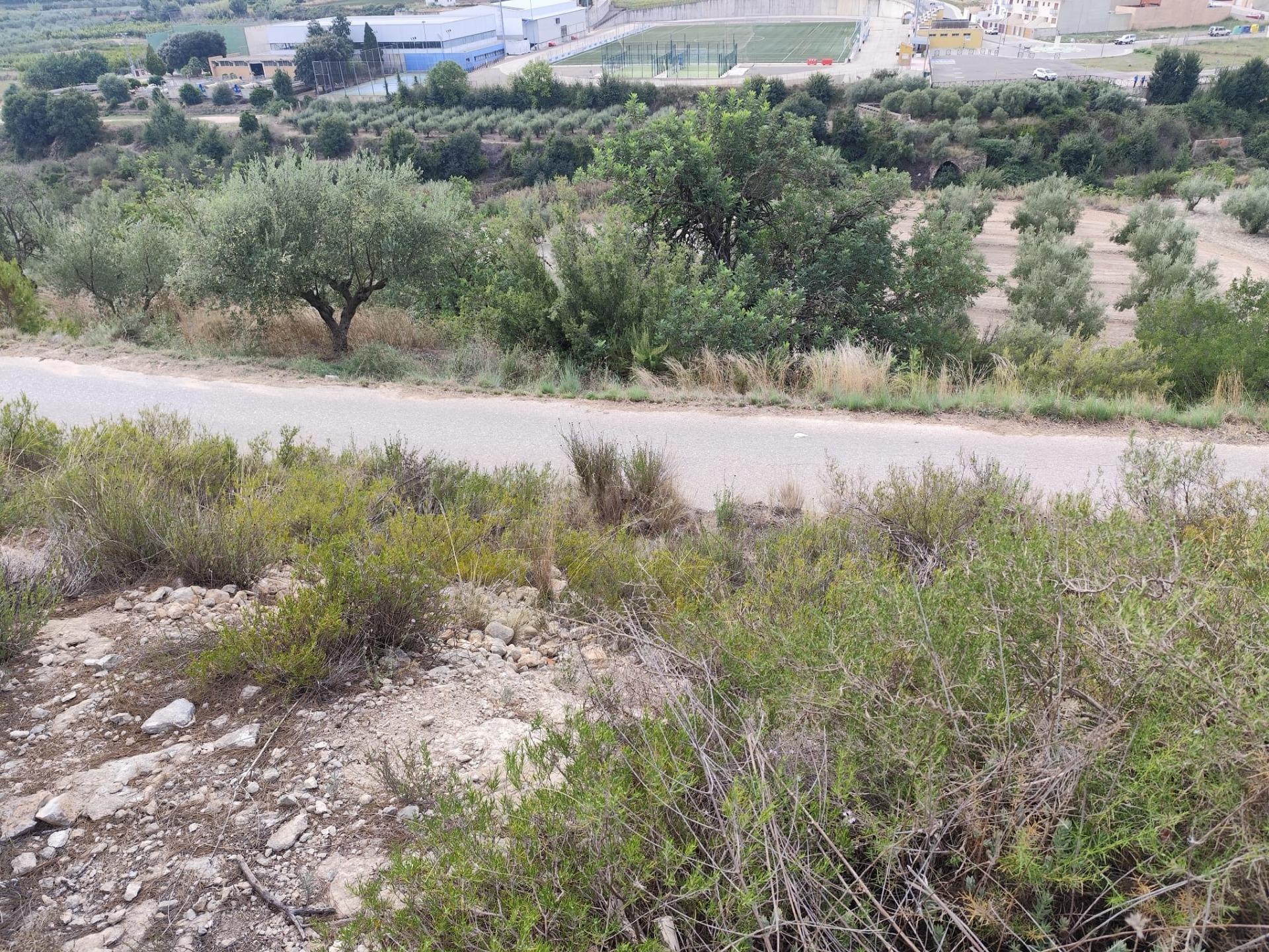 Casas o chalets-Venta-Mogente-2427234-Foto-27