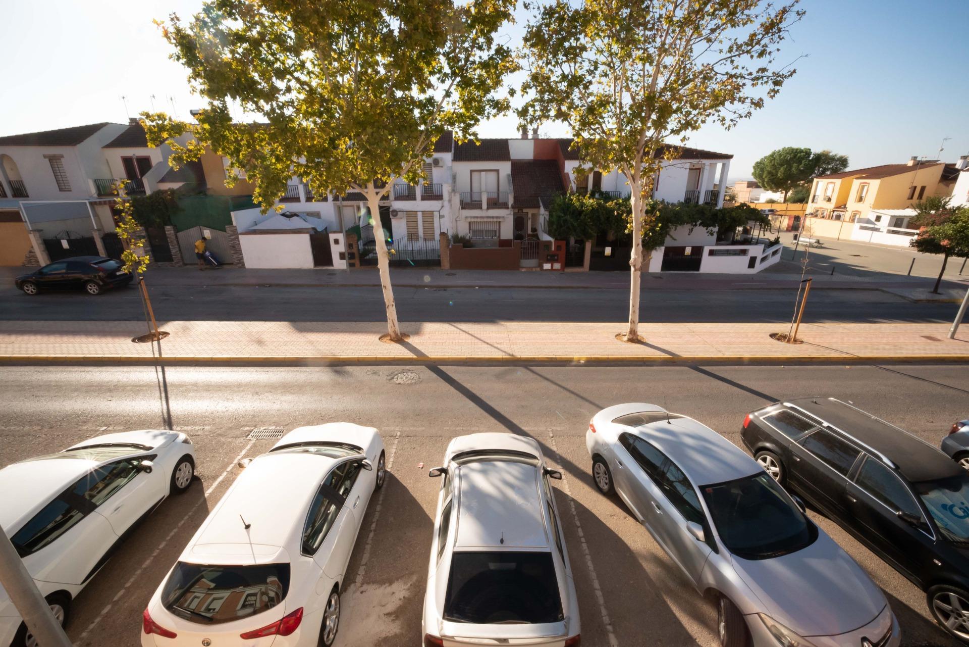 Casas o chalets-Venta-Mairena del Alcor-2427249-Foto-34