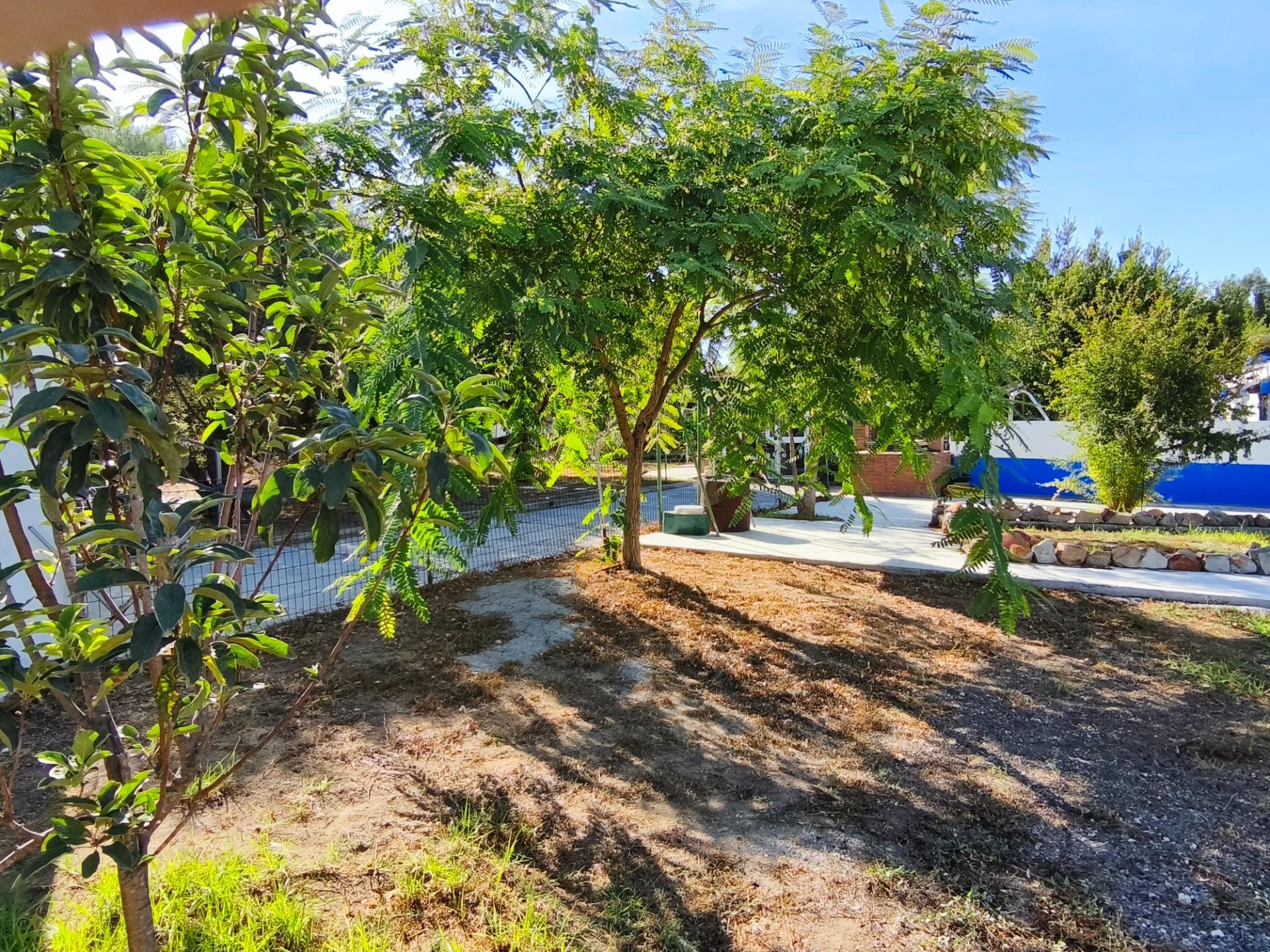 Casas o chalets-Venta-Chiclana de la Frontera-2427252-Foto-2