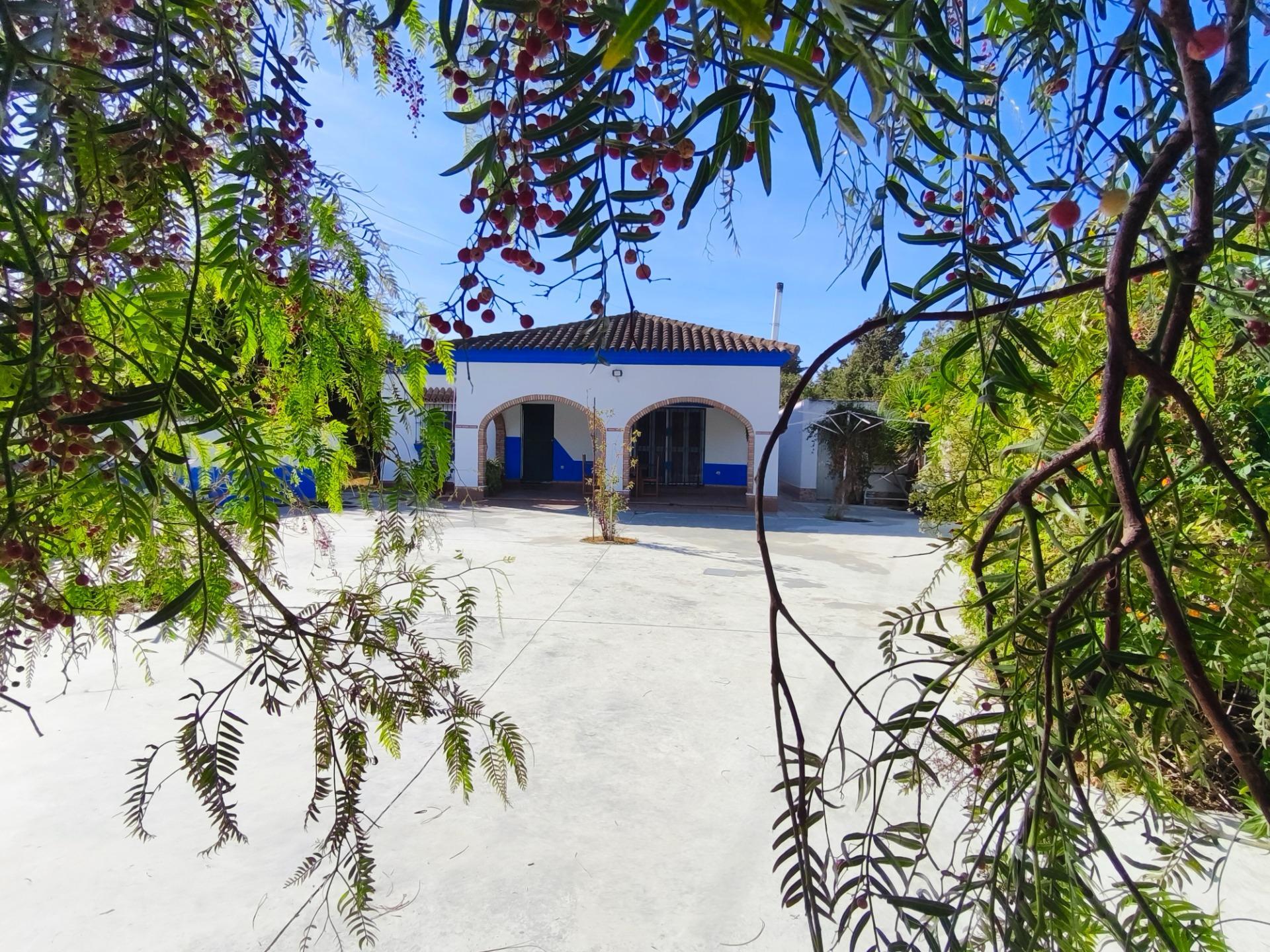 Casas o chalets-Venta-Chiclana de la Frontera-2427252-Foto-4