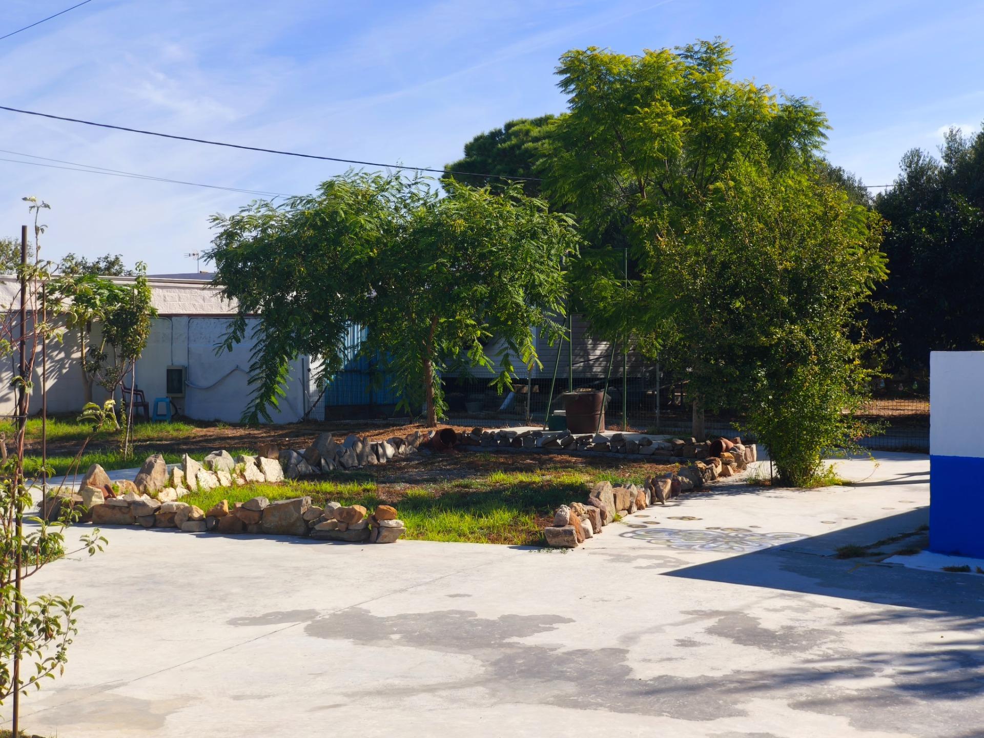 Casas o chalets-Venta-Chiclana de la Frontera-2427252-Foto-9