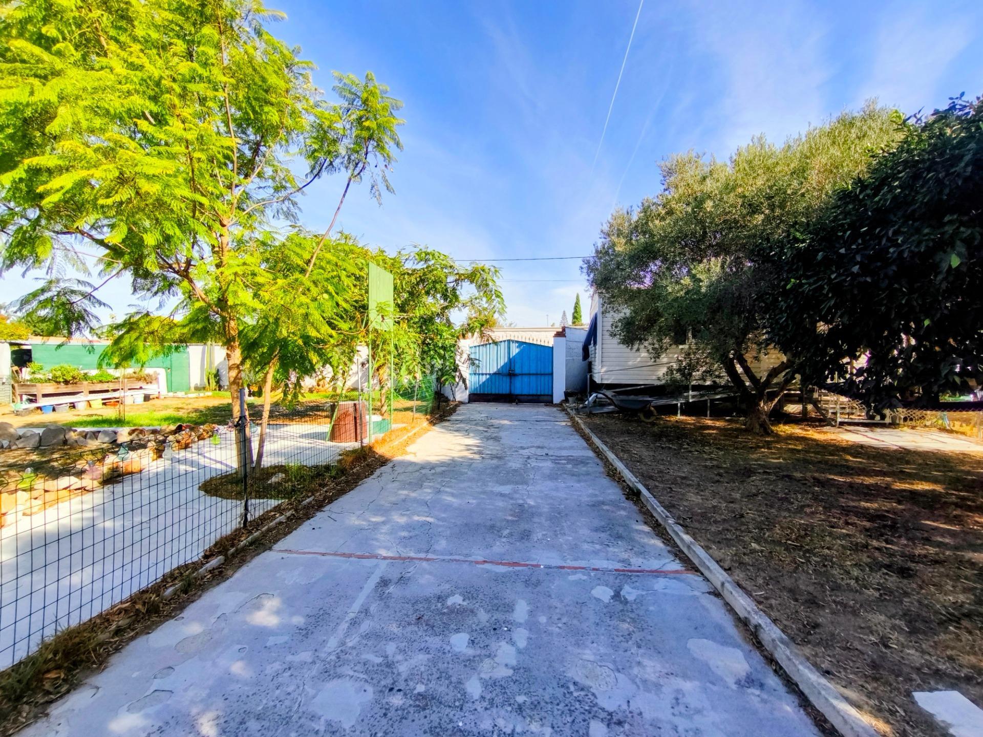 Casas o chalets-Venta-Chiclana de la Frontera-2427252-Foto-14