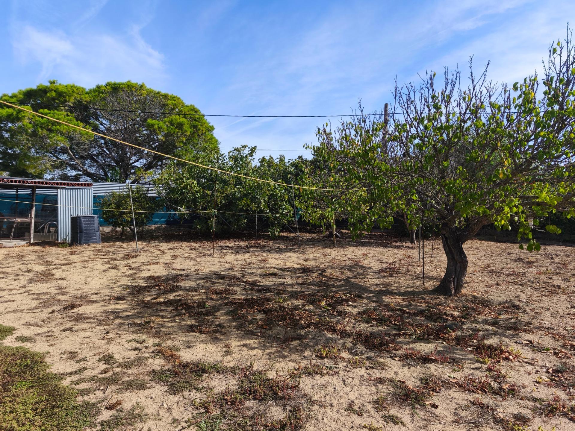 Casas o chalets-Venta-Chiclana de la Frontera-2427252-Foto-70