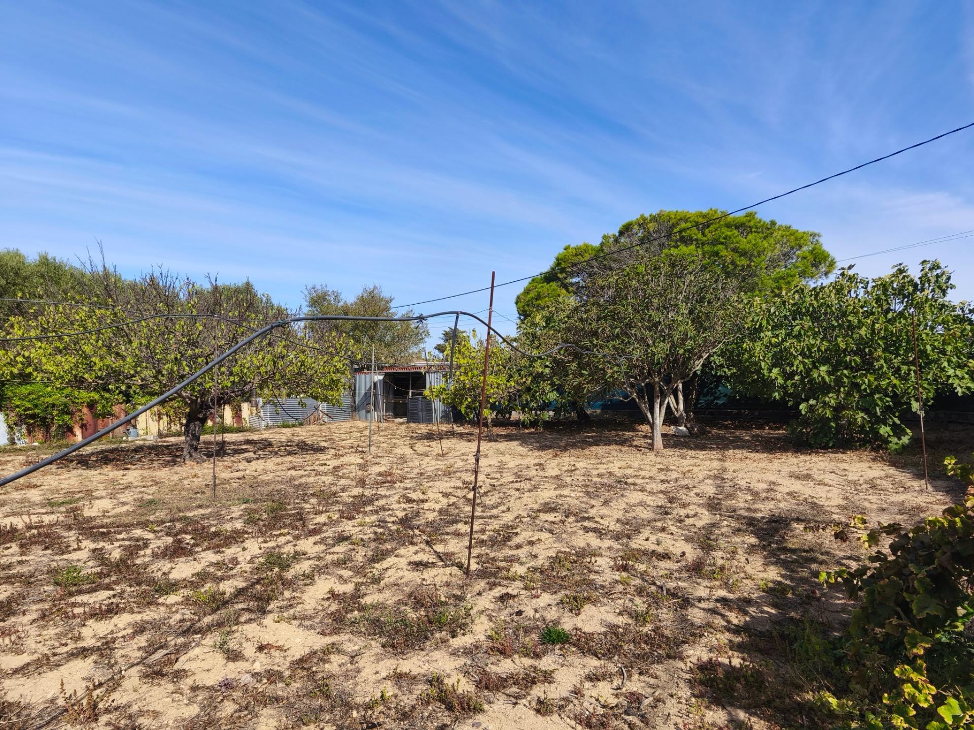 Casas o chalets-Venta-Chiclana de la Frontera-2427252-Foto-72