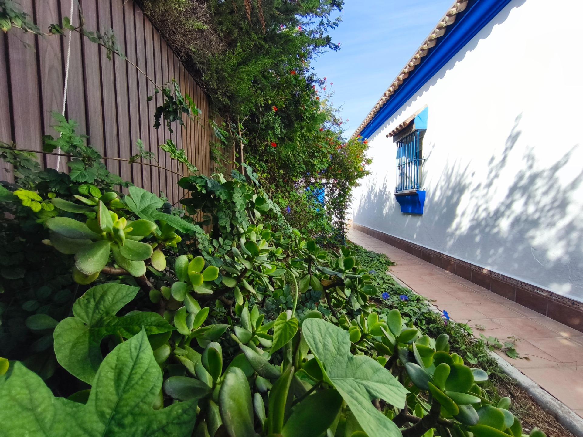 Casas o chalets-Venta-Chiclana de la Frontera-2427252-Foto-78