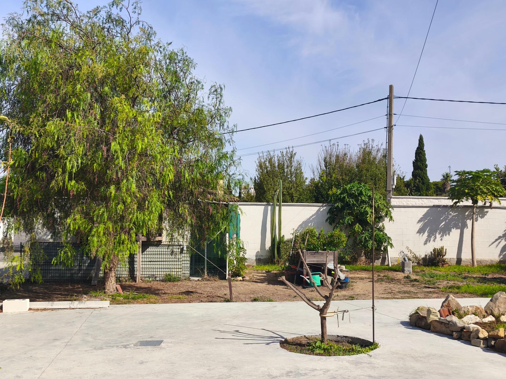 Casas o chalets-Venta-Chiclana de la Frontera-2427252-Foto-81