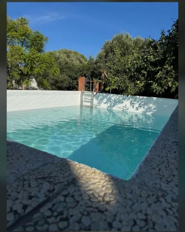 Casas o chalets-Venta-Chiclana de la Frontera-2427252-Foto-94