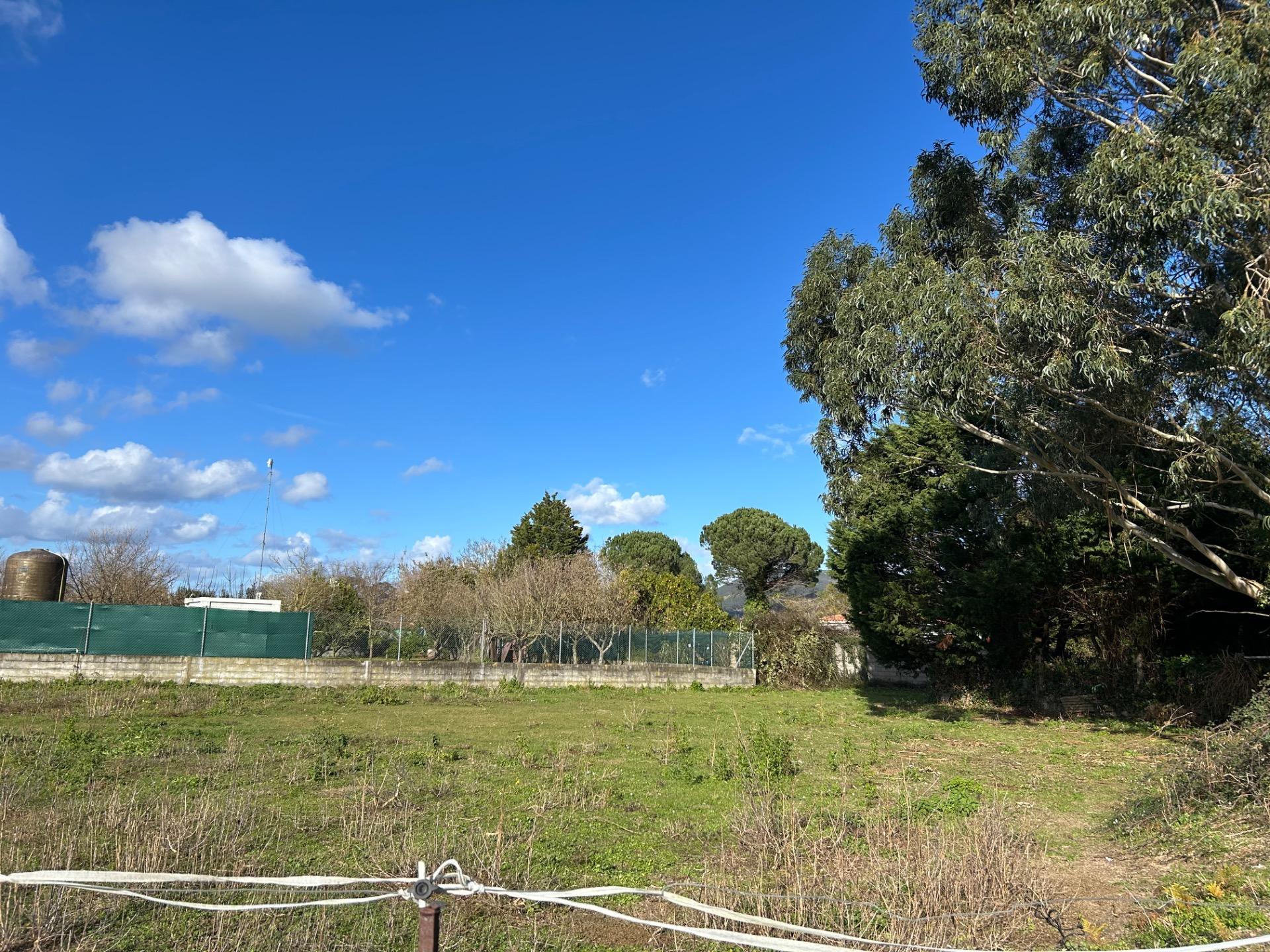 Fincas y solares-Venta-Laredo-2427616-Foto-5