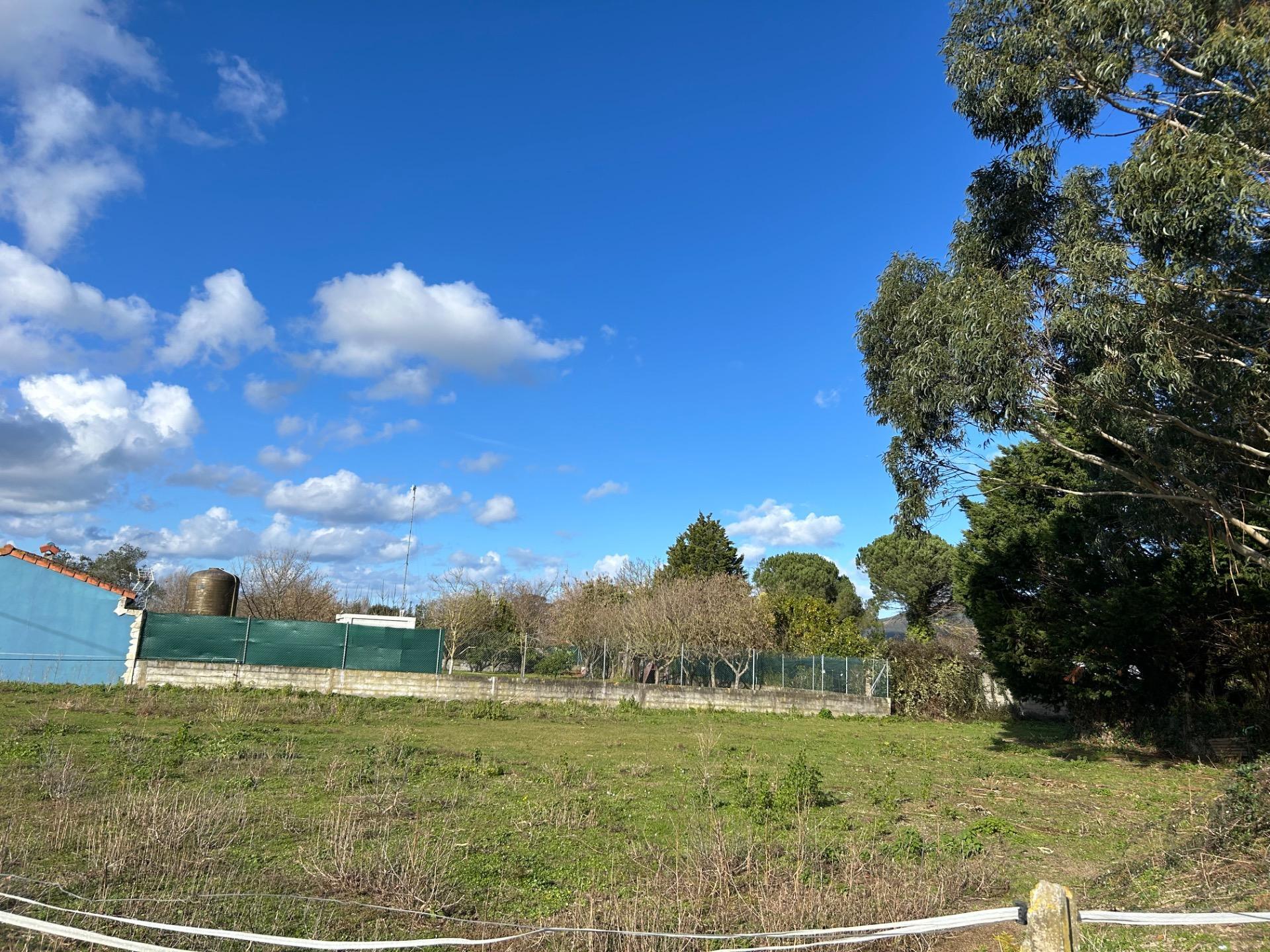 Fincas y solares-Venta-Laredo-2427616-Foto-4