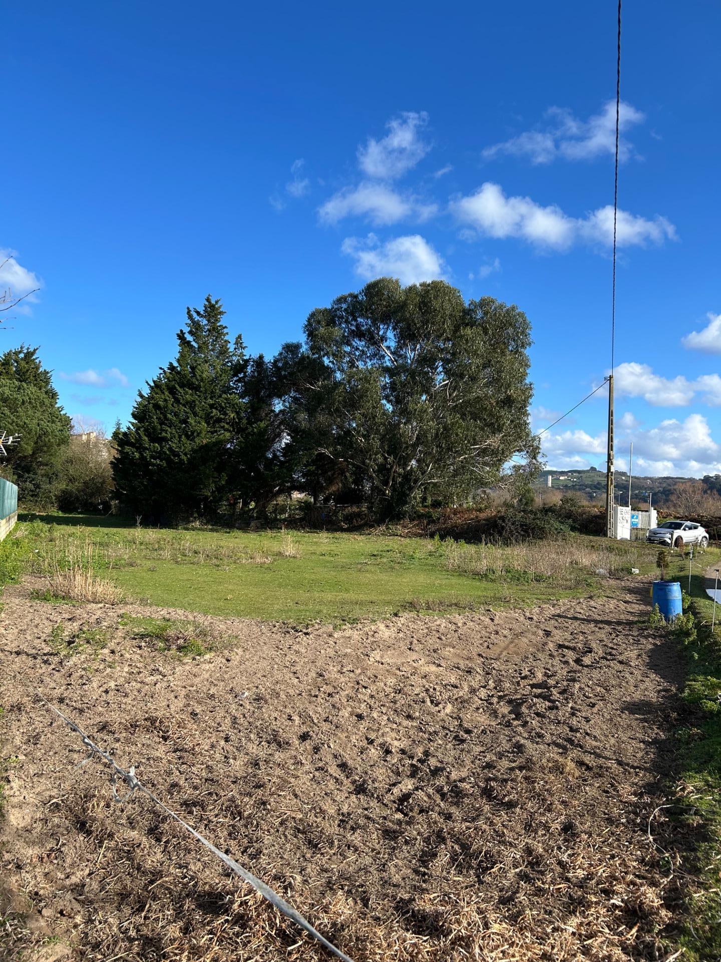 Fincas y solares-Venta-Laredo-2427616-Foto-3