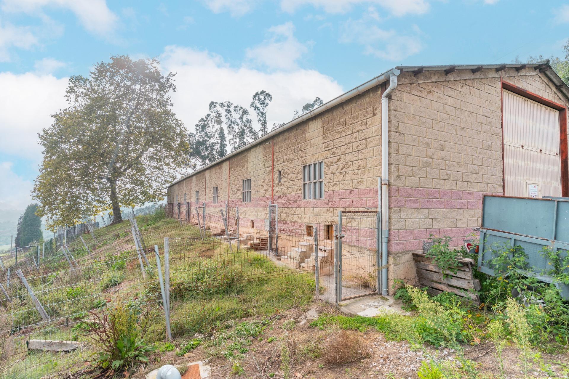 Casas o chalets-Venta-GijÃ³n-2427625-Foto-13