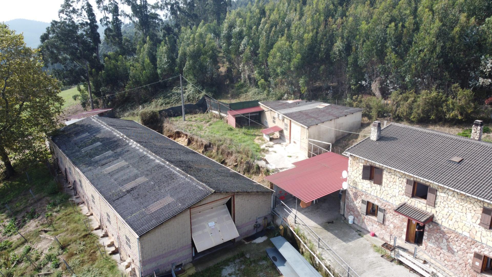 Casas o chalets-Venta-GijÃ³n-2427625-Foto-46