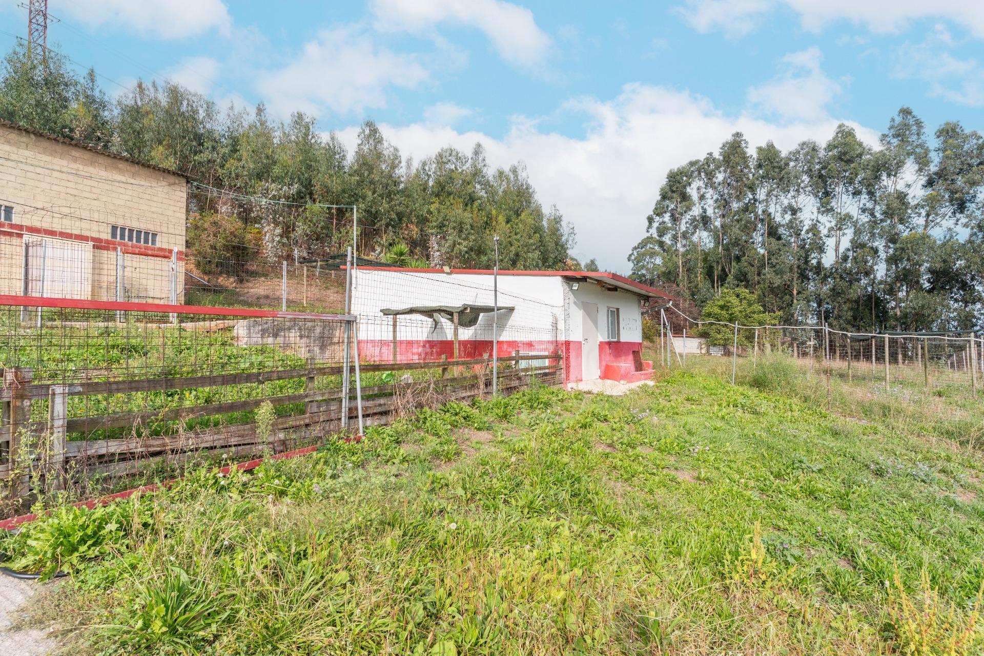 Naves-Venta-GijÃ³n-2427628-Foto-39