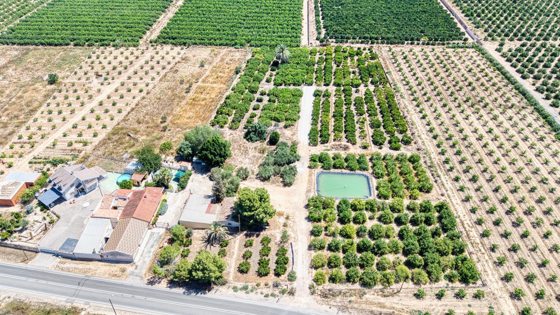 Casas o chalets-Venta-Orihuela-2415281
