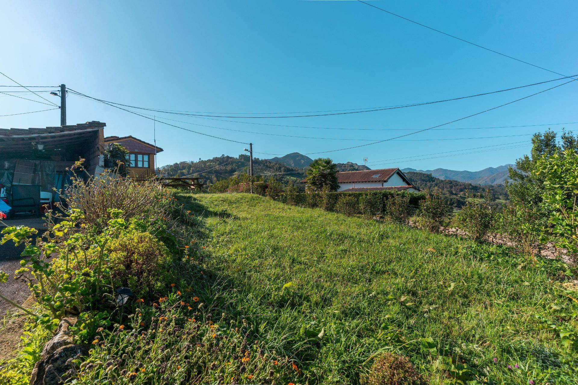 Casas o chalets-Venta-PiloÃ±a-2428003-Foto-35