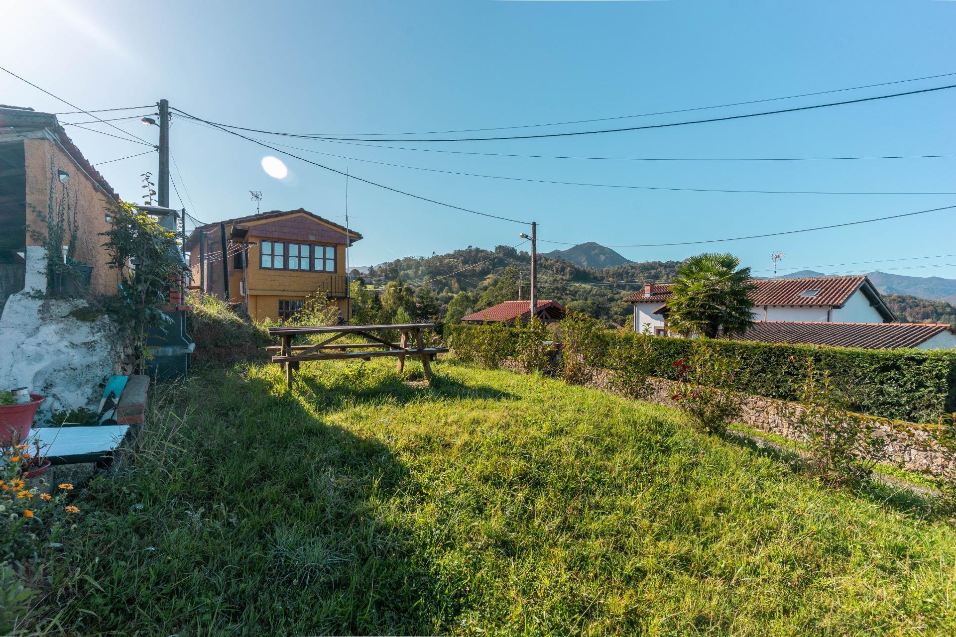 Casas o chalets-Venta-PiloÃ±a-2428003-Foto-34