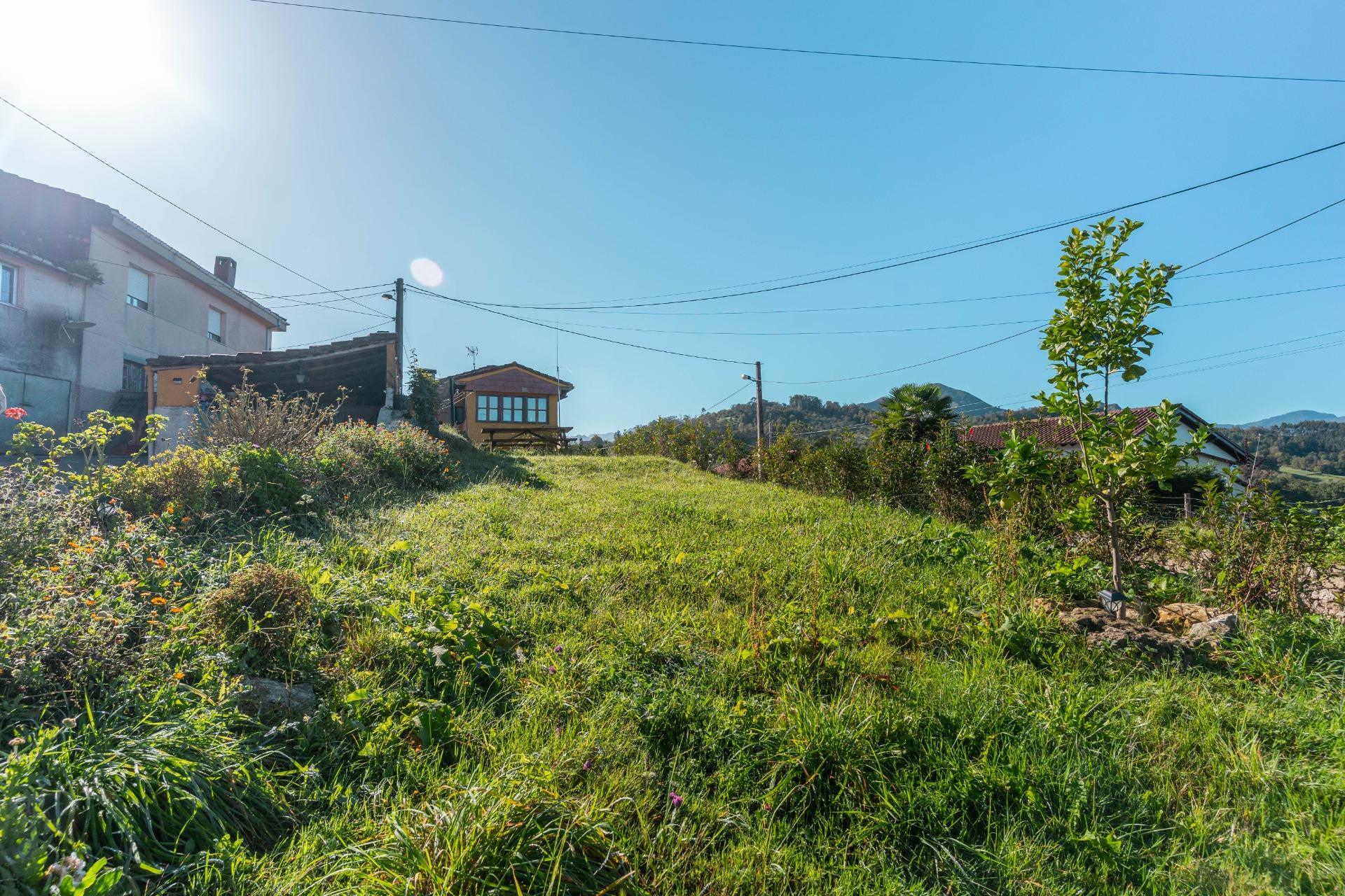 Casas o chalets-Venta-PiloÃ±a-2428003-Foto-37