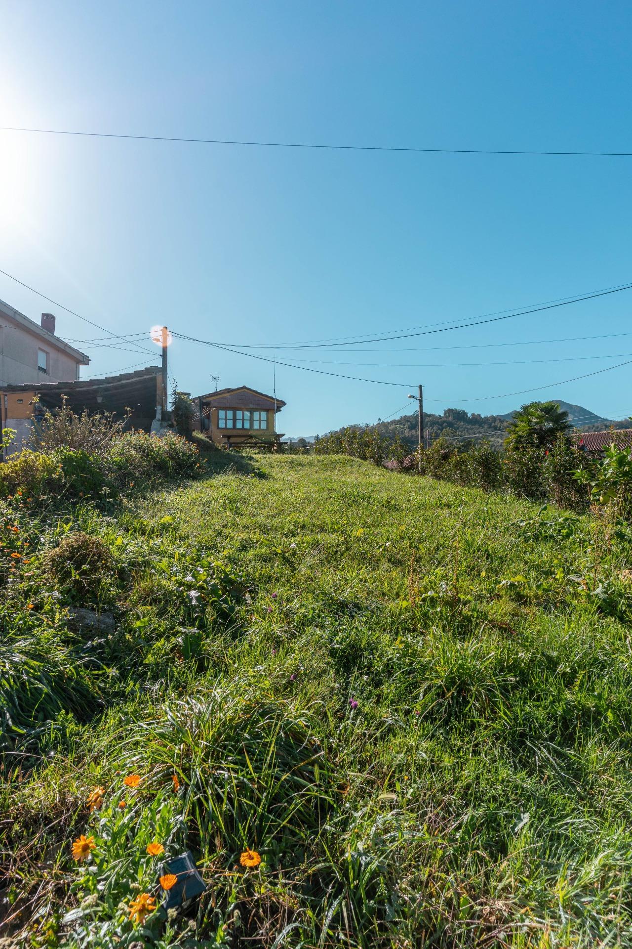 Casas o chalets-Venta-PiloÃ±a-2428003-Foto-38