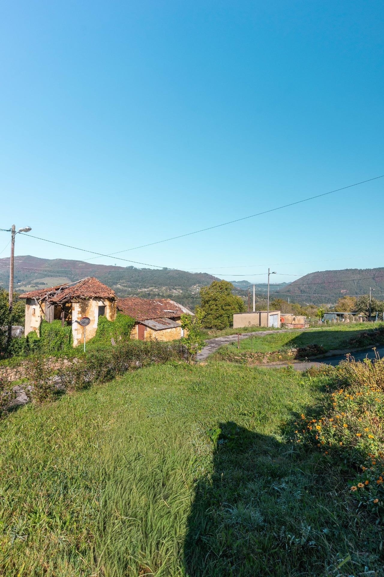 Casas o chalets-Venta-PiloÃ±a-2428003-Foto-36