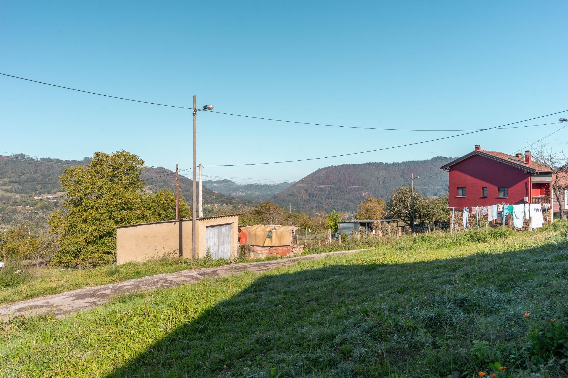 Casas o chalets-Venta-PiloÃ±a-2428003-Foto-47