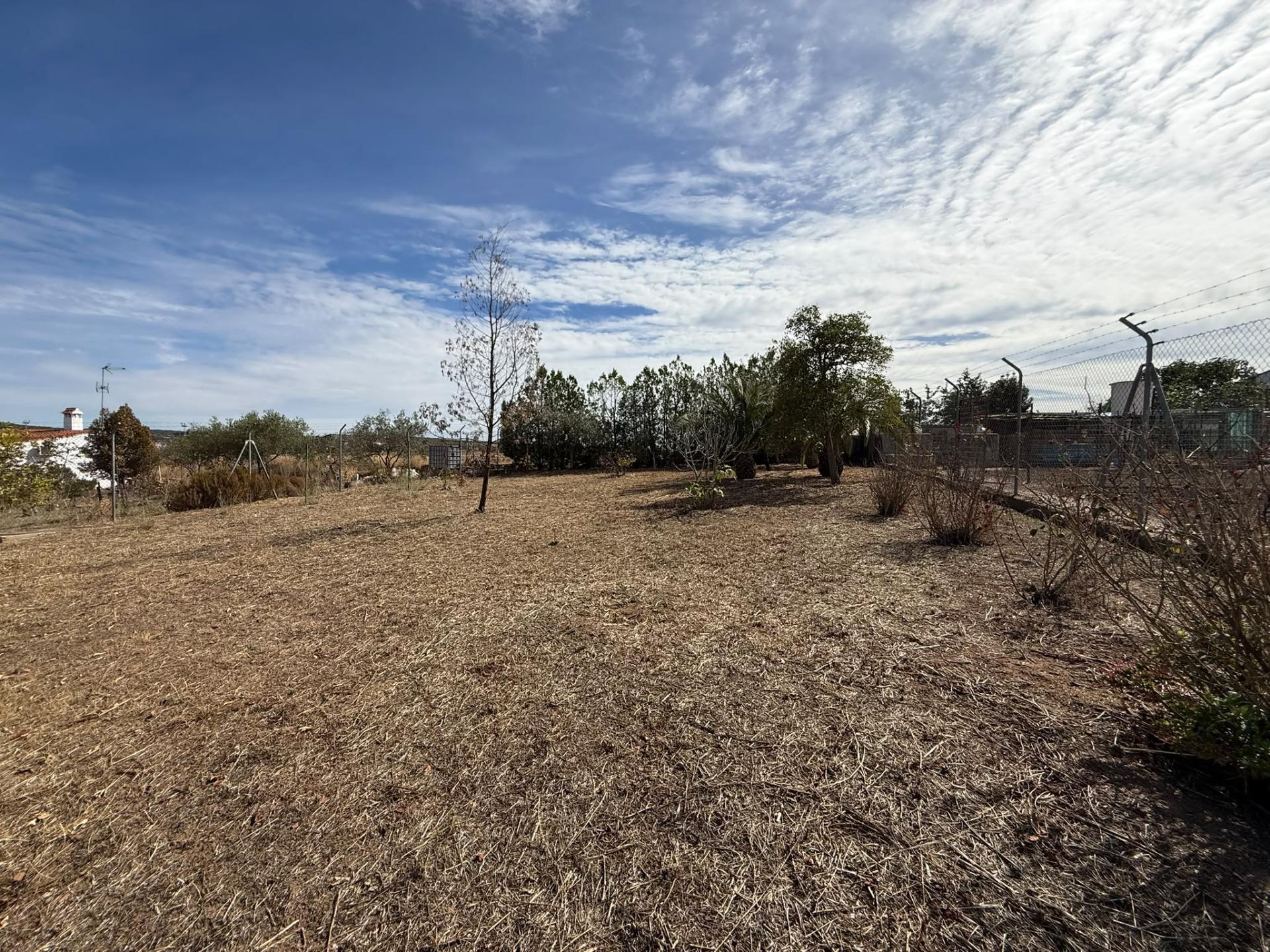 Casas o chalets-Venta-Encinasola-2427967-Foto-39