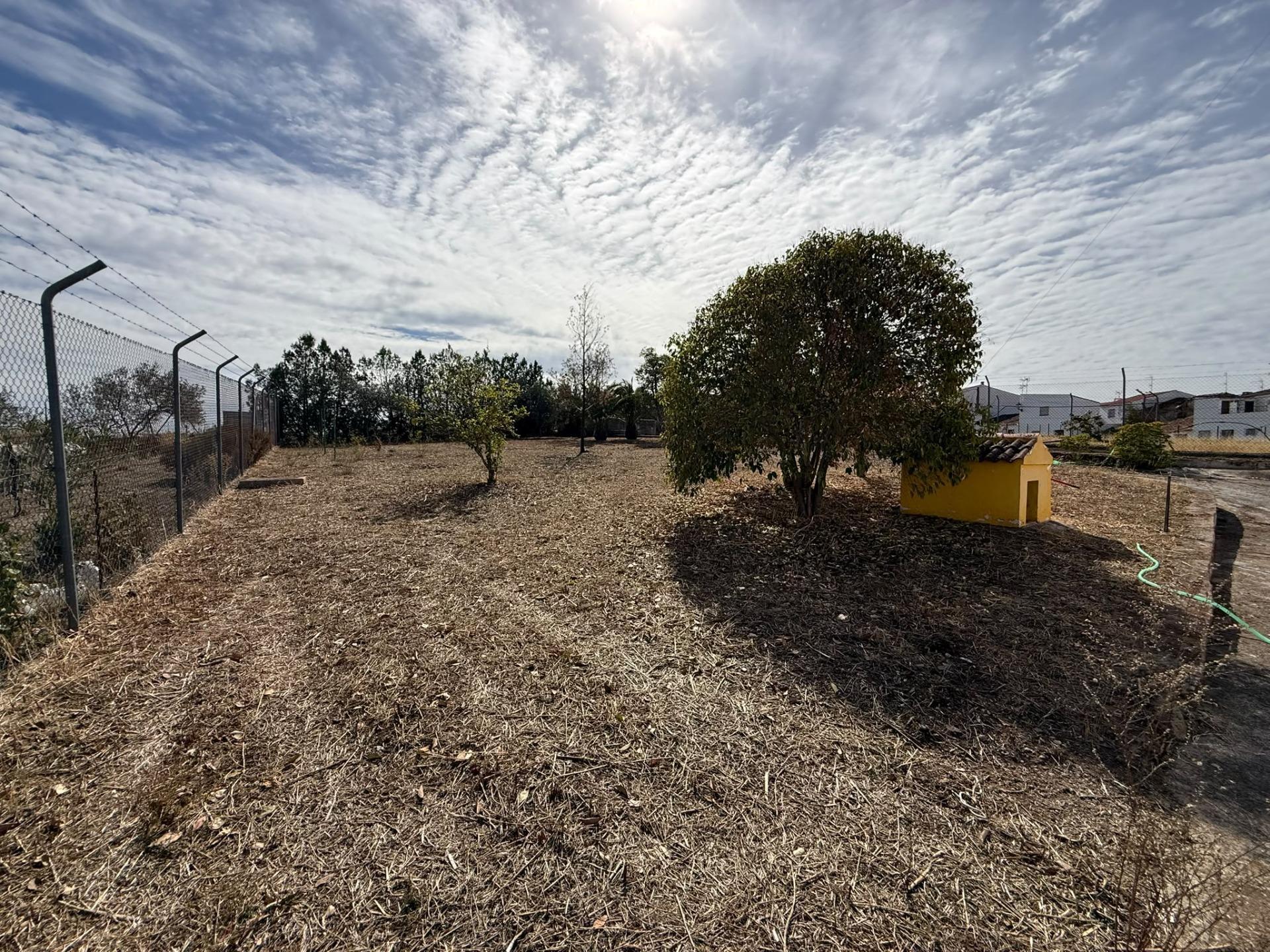 Casas o chalets-Venta-Encinasola-2427967-Foto-37