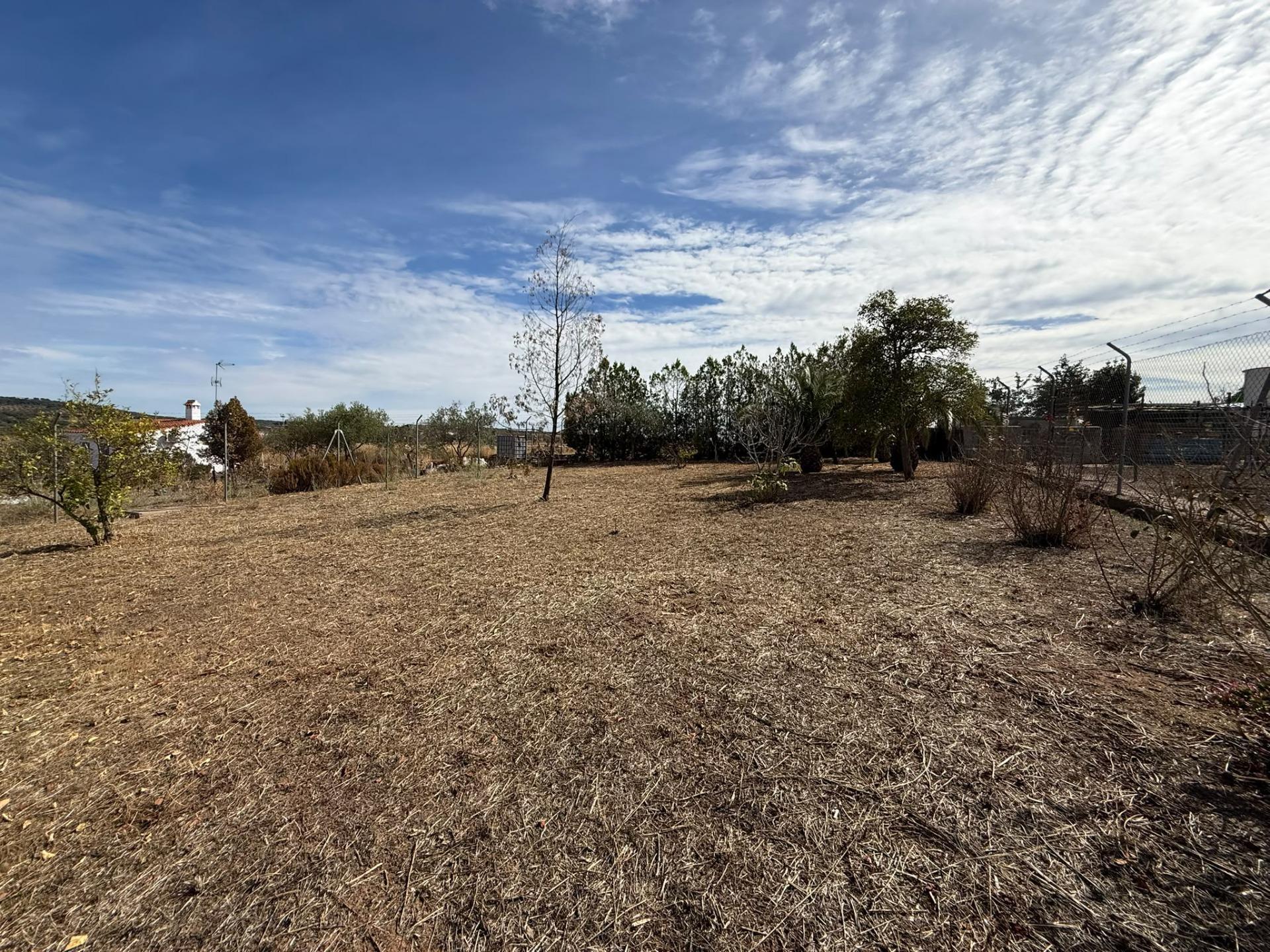 Casas o chalets-Venta-Encinasola-2427967-Foto-47