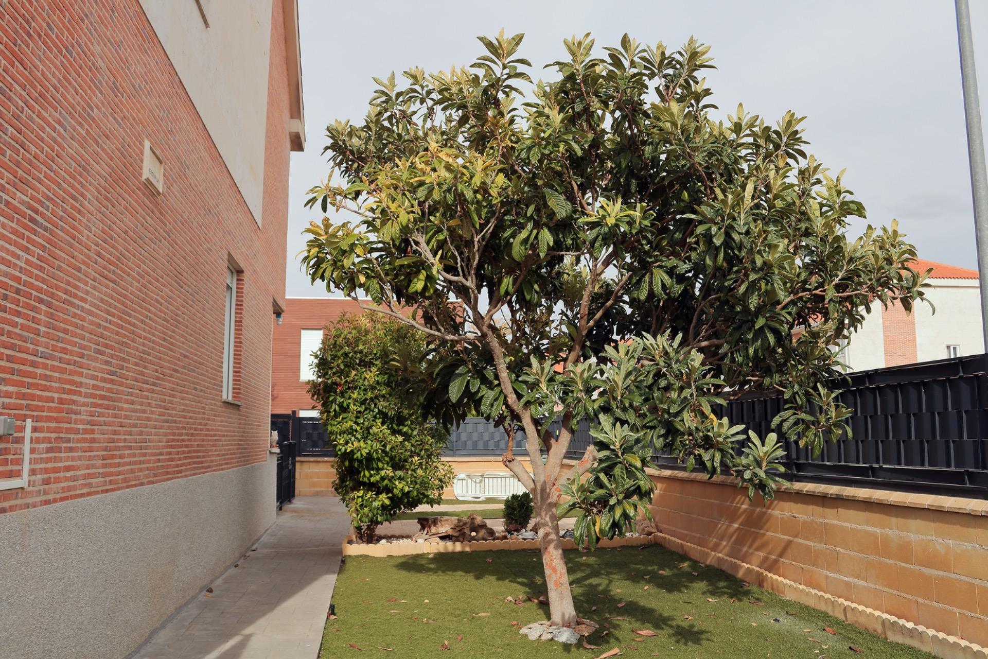 Casas o chalets-Venta-Villanubla-2428315-Foto-52