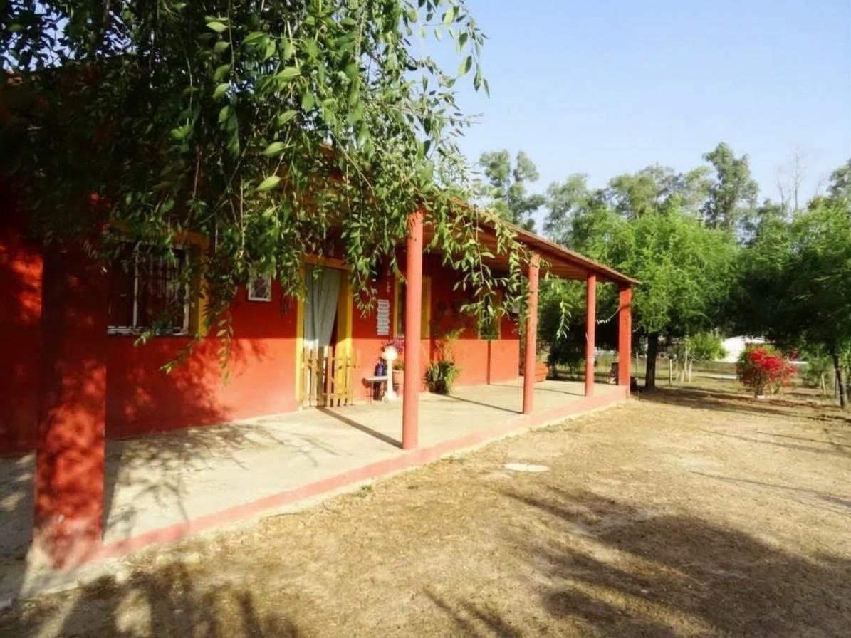 Casas o chalets-Venta-Carmona-1752962