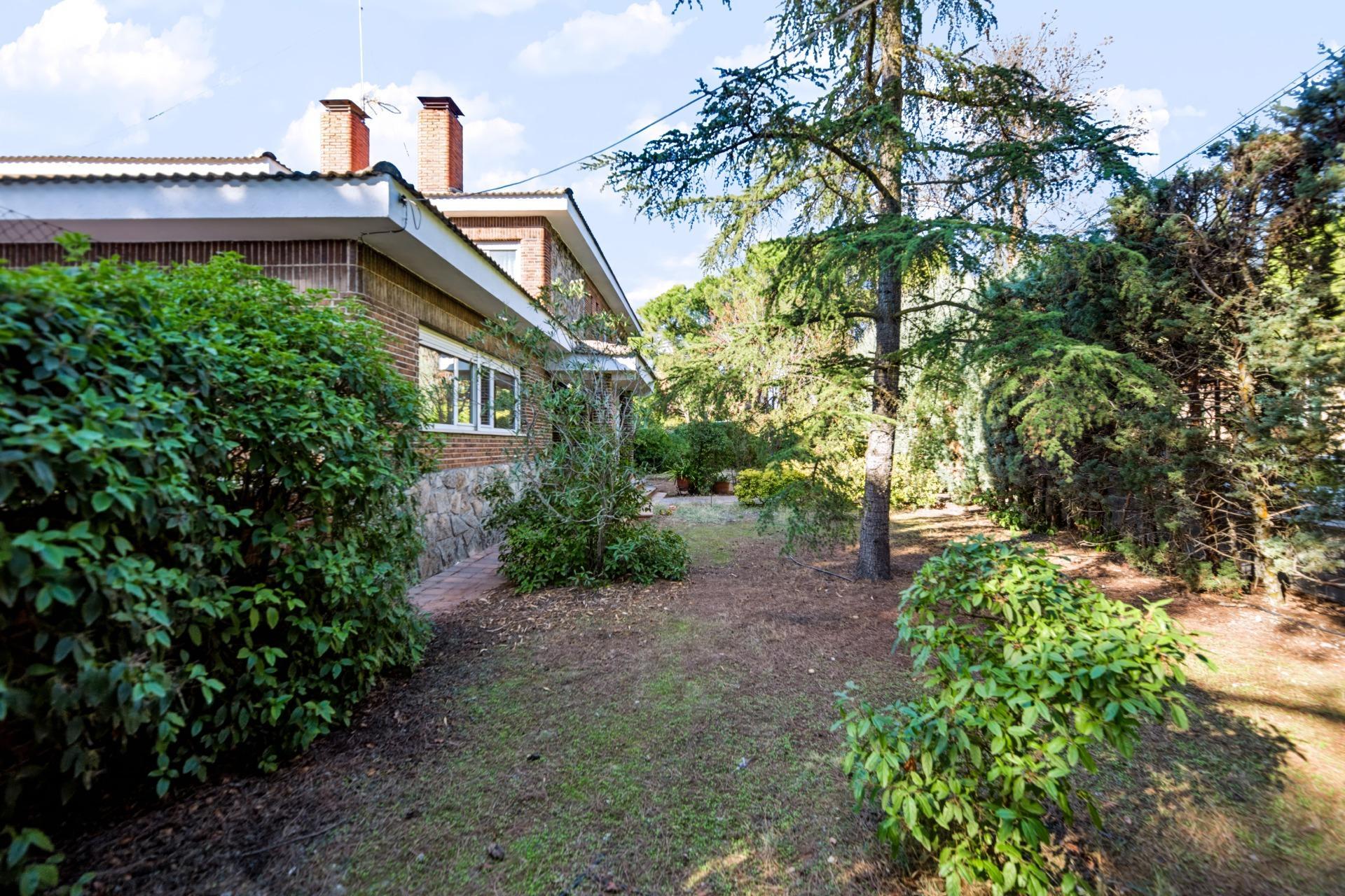 Casas o chalets-Venta-Villaviciosa de OdÃ³n-2441656-Foto-9