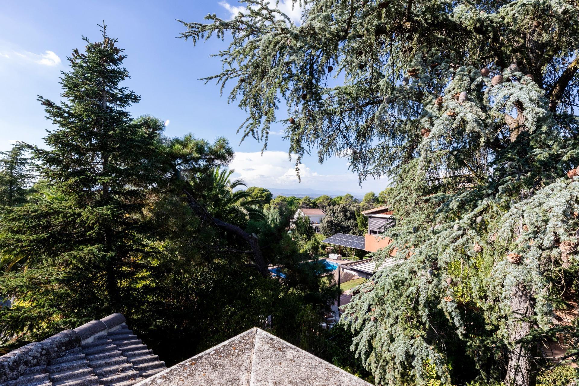 Casas o chalets-Venta-Villaviciosa de OdÃ³n-2441656-Foto-36