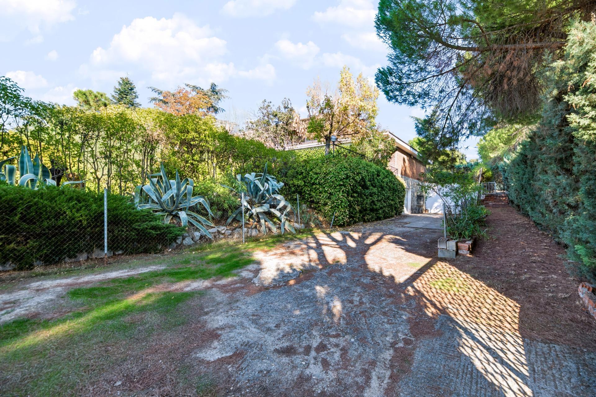 Casas o chalets-Venta-Villaviciosa de OdÃ³n-2441656-Foto-60