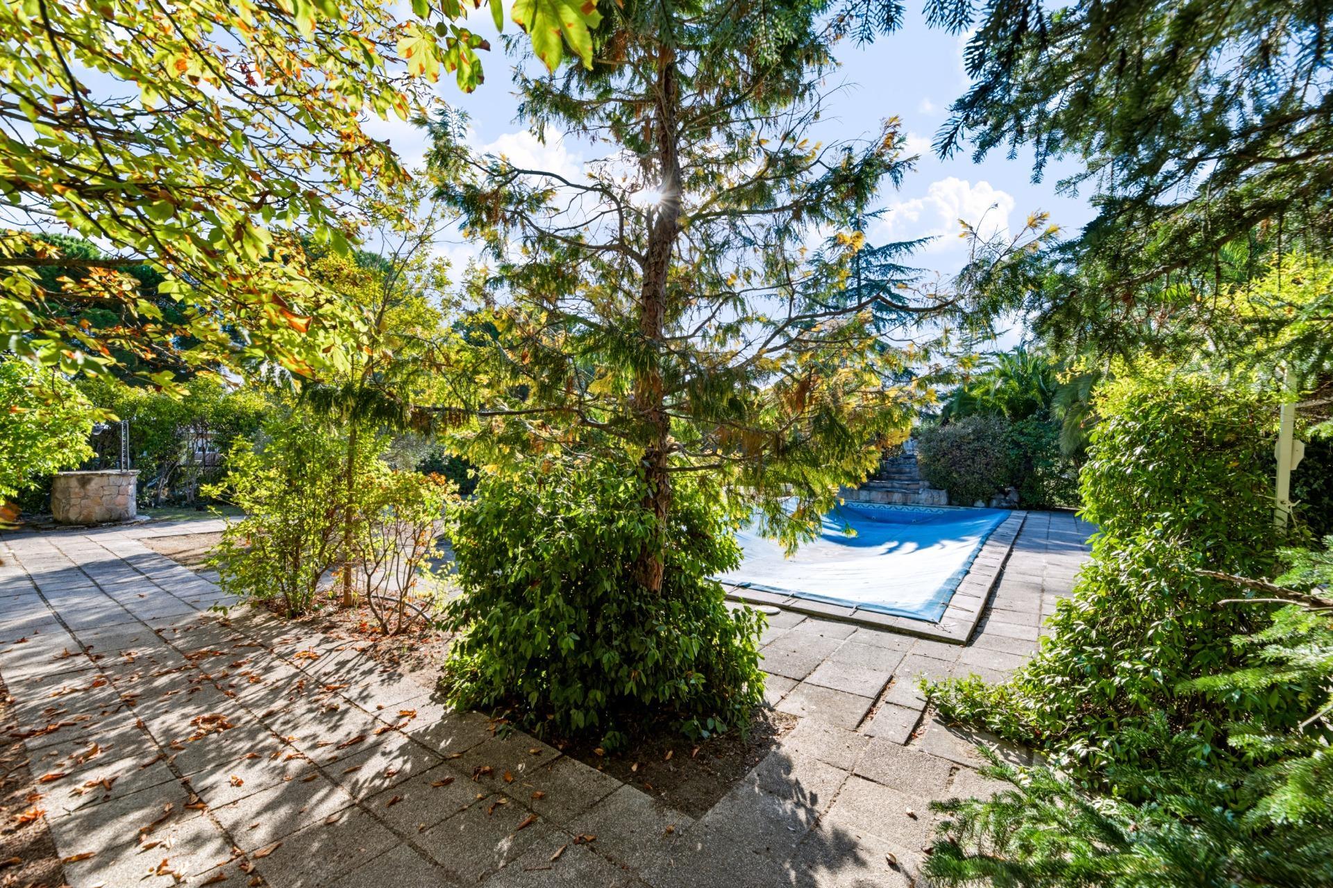 Casas o chalets-Venta-Villaviciosa de OdÃ³n-2441656-Foto-63