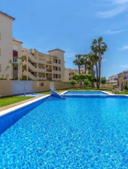 Pisos-Venta-Orihuela-2427964-Foto-2