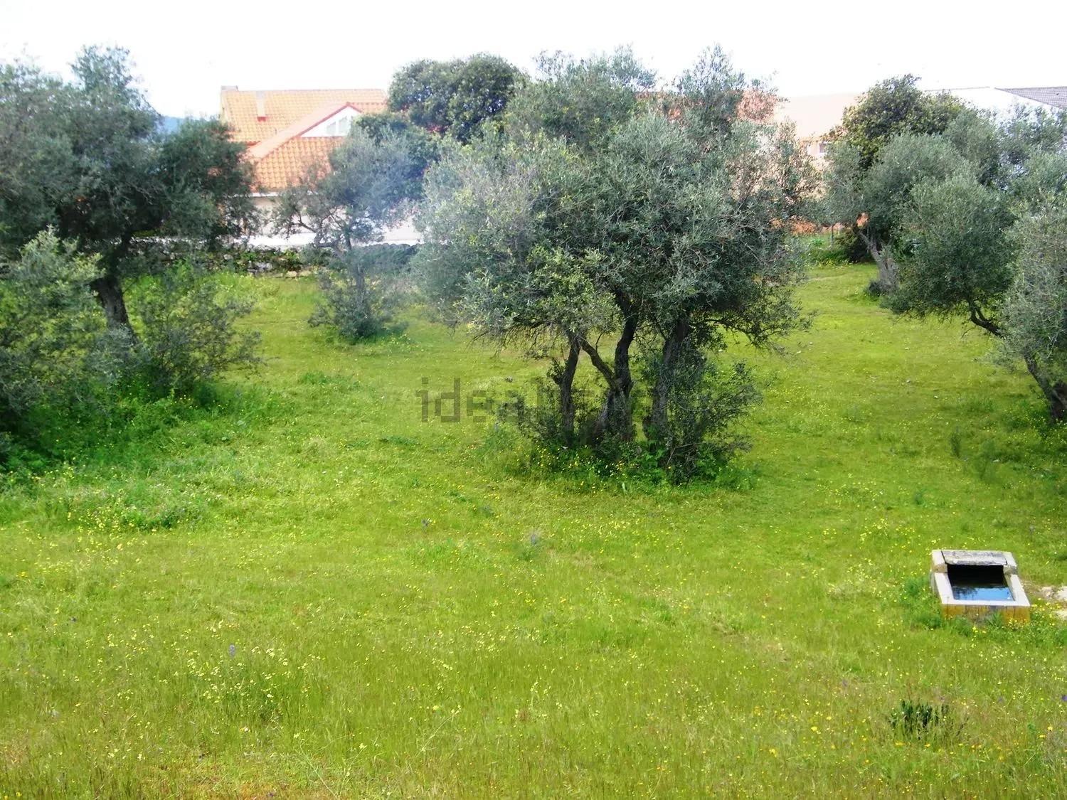 Fincas y solares-Venta-BelvÃ­s de Monroy-2441626-Foto-3