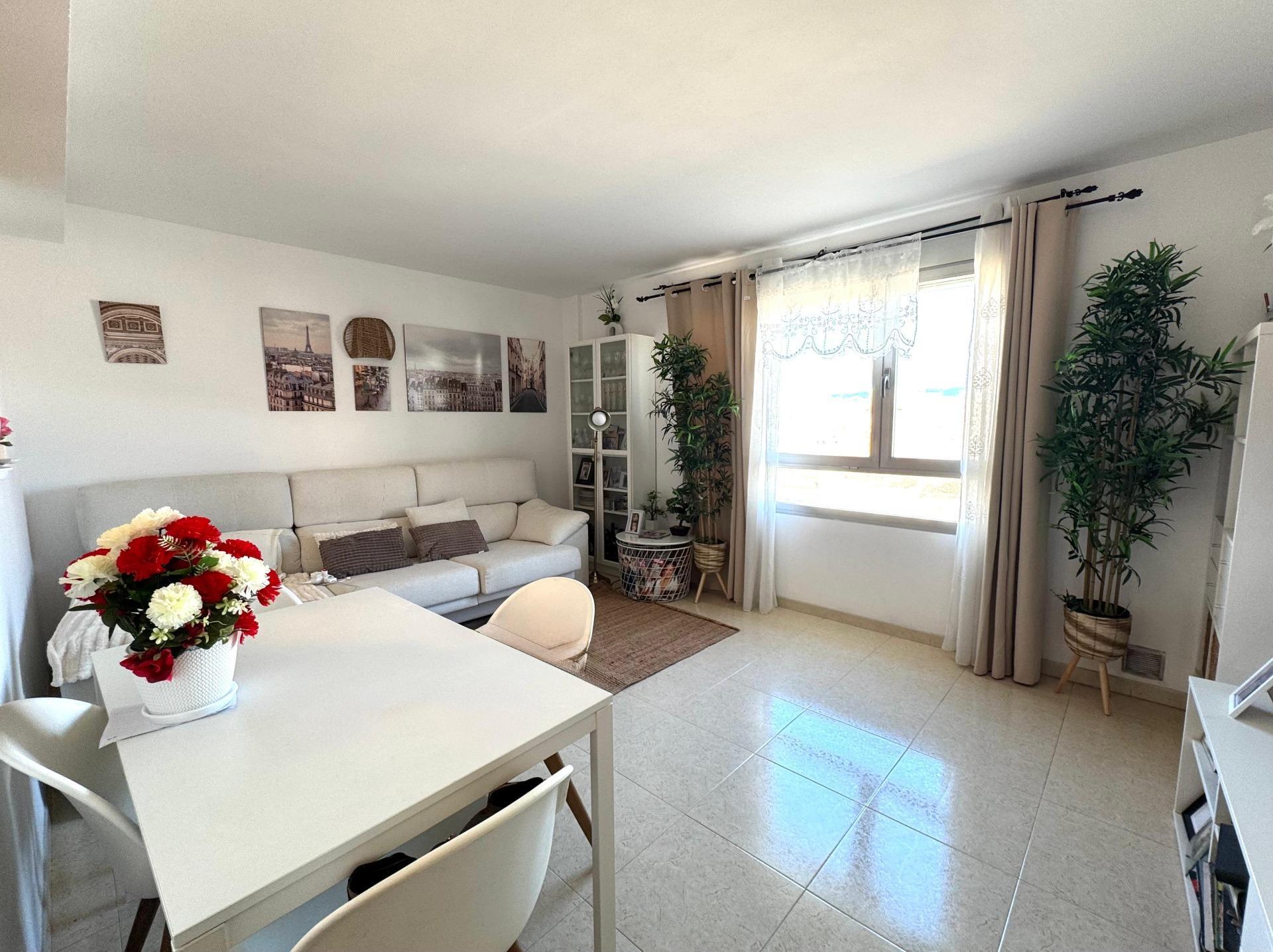 Pisos-Venta-Palma de Mallorca-2441635-Foto-3