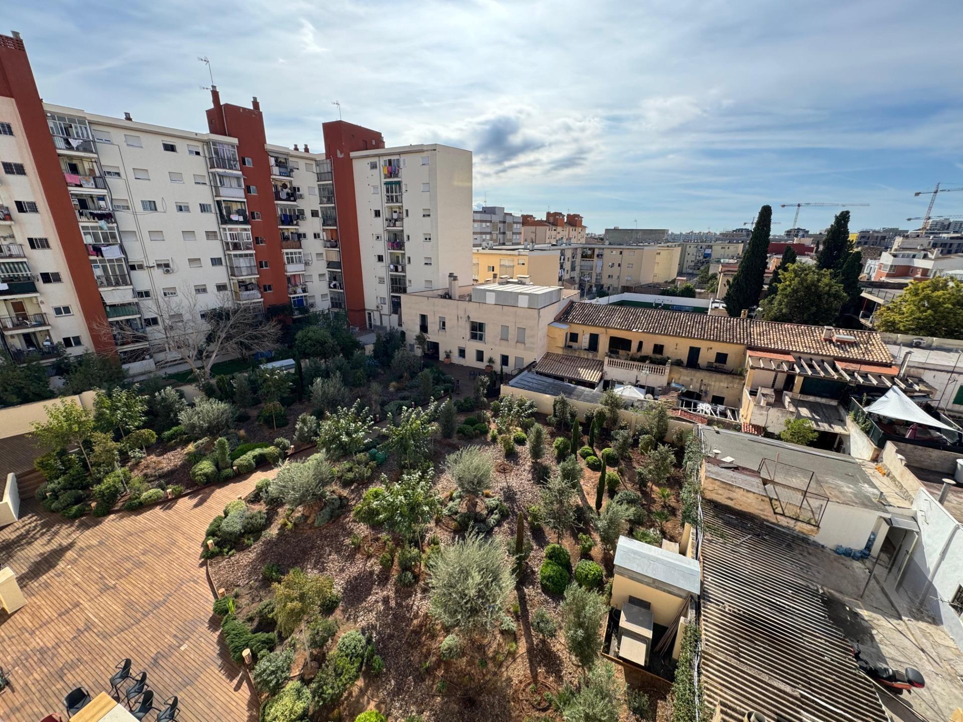Pisos-Venta-Palma de Mallorca-2441635-Foto-16