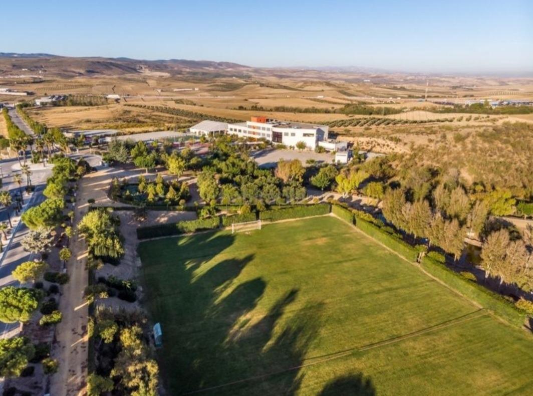 Fincas y solares-Venta-La Granada-2443436-Foto-8