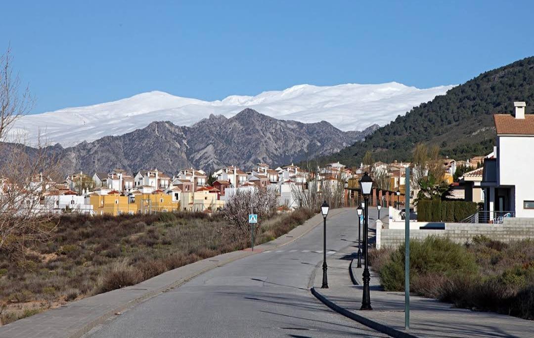 Fincas y solares-Venta-La Granada-2443436-Foto-13