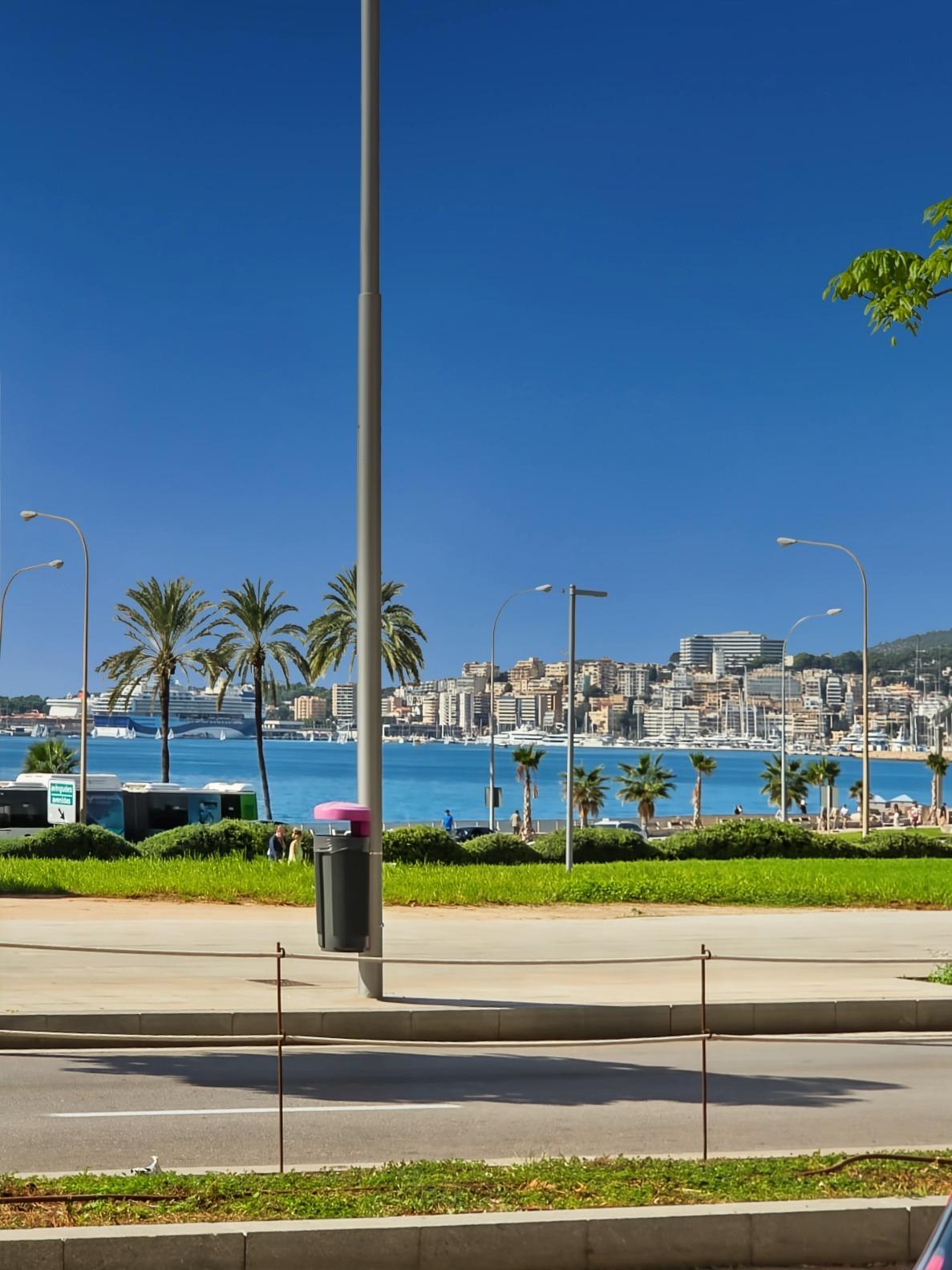 Pisos-Venta-Palma de Mallorca-2441218-Foto-10