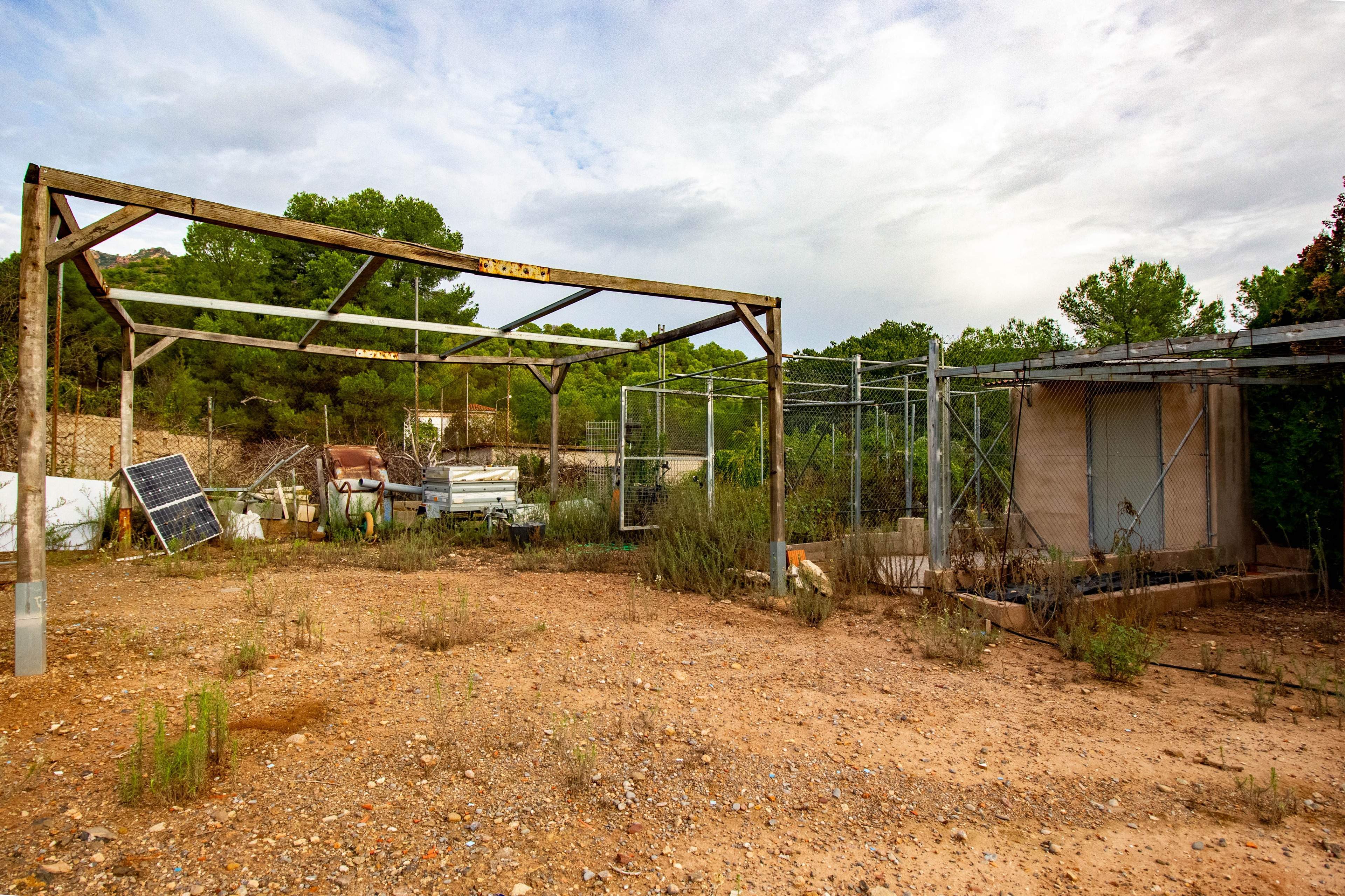 Casas o chalets-Venta-Albalat dels Tarongers-2425443-Foto-7