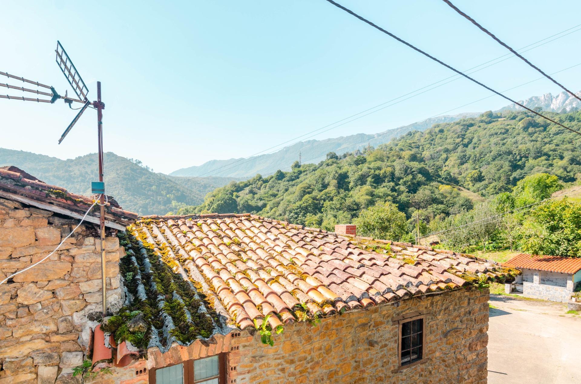 Casas o chalets-Venta-MorcÃ­n-1659224-Foto-3