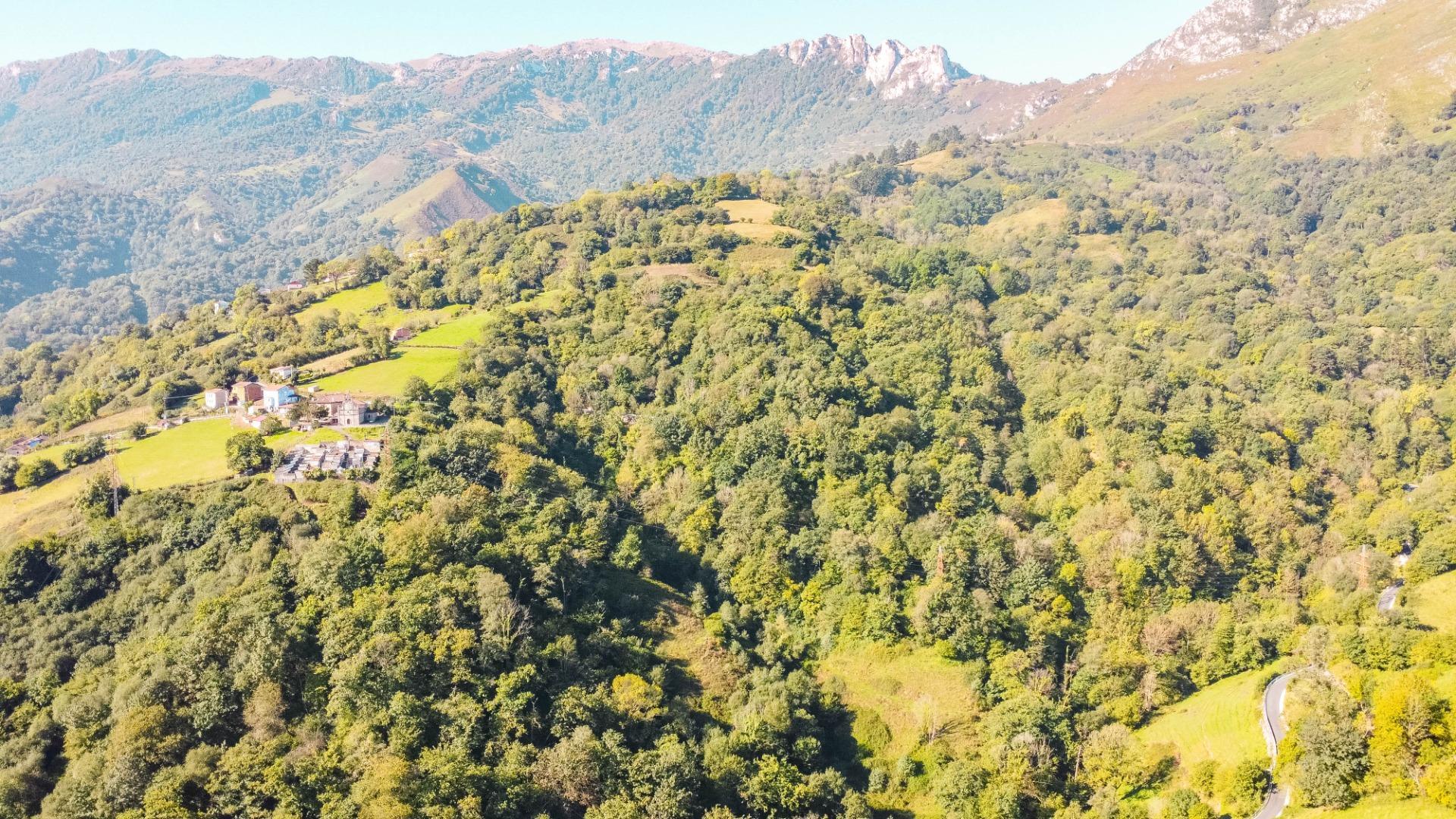 Casas o chalets-Venta-MorcÃ­n-1659224-Foto-34